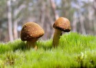 试管婴儿移植后，理解和应对着床困难