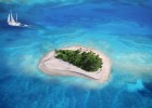 初中生物教案探讨，试管婴儿技术的生物学基础